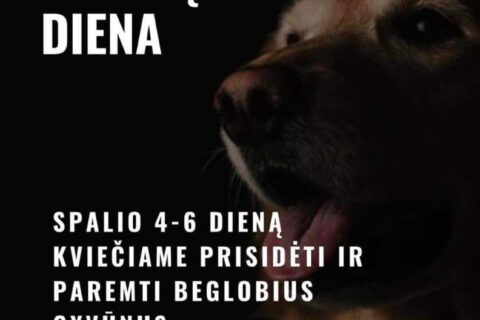 LabdarosAkcija202309