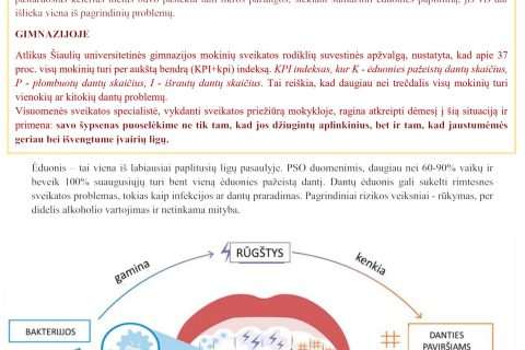 Burnos sveikata ŠUG_page-0001