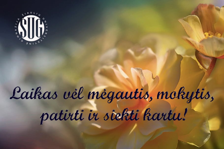 att.Fiz1IpNL7Djd0xK8QQSviFfrN5Ae-vap_EBkvI-hVuA