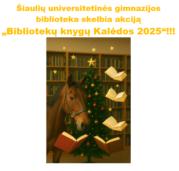 KnygųKalėdos2025
