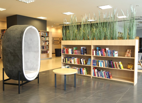 Visinskio_biblioteka