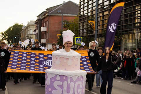 tortas-sug